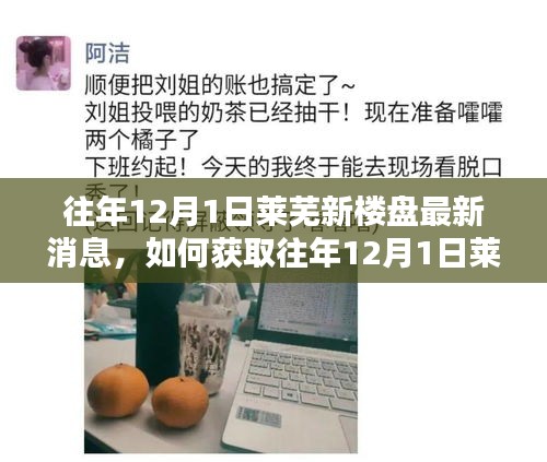 往年12月1日萊蕪新樓盤最新消息獲取指南,詳細步驟與最新動態速遞