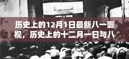 十二月一日,八一影視的新篇章與歷史回顧