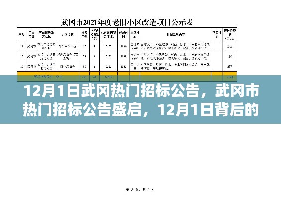揭秘武岡市熱門招標(biāo)公告背后的故事與影響,12月1日盛啟