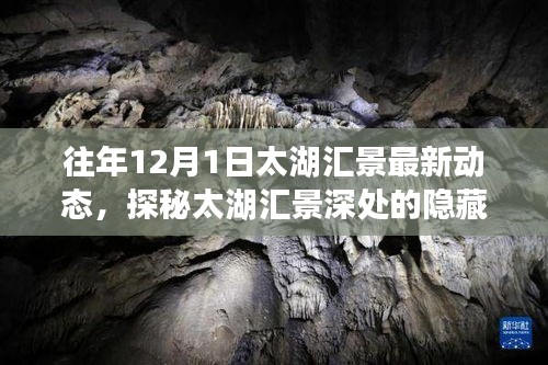 探秘太湖匯景,特色小店最新動態與隱藏瑰寶的深度揭秘