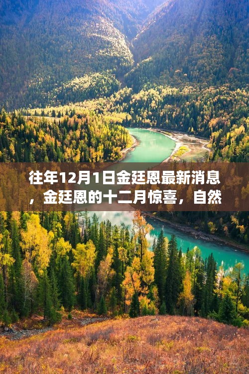 金廷恩十二月驚喜之旅,心靈啟示與自然美景的交融時刻