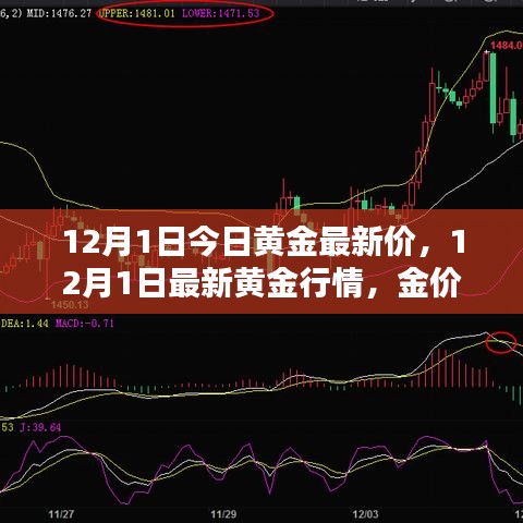 12月1日黃金行情分析,最新金價走勢與投資建議