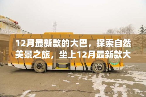 坐上最新款大巴,開啟自然美景探索之旅,尋找內心的寧靜與平和