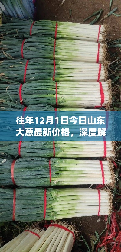 宵衣旰食 第5頁(yè)