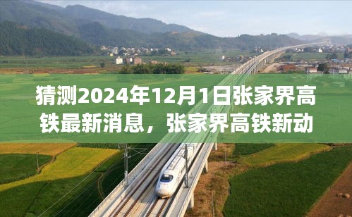 揭秘張家界高鐵最新動(dòng)態(tài),啟程心靈之旅,探尋自然秘境的未來(lái)之旅(預(yù)計(jì)至2024年)
