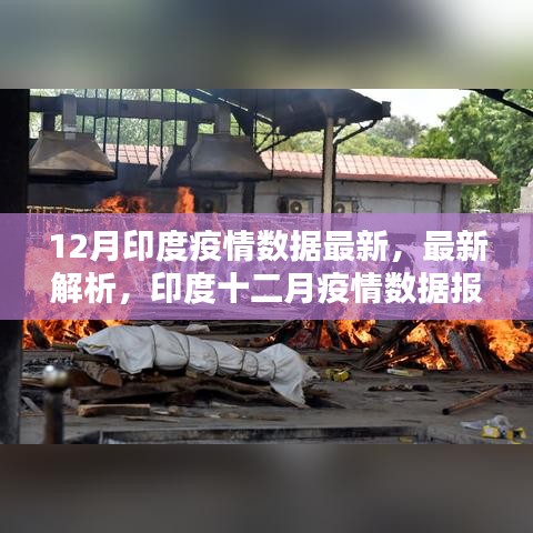 印度十二月疫情數據報告最新解析與報告概述