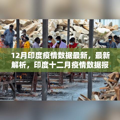 印度十二月疫情數據報告最新解析與報告概述