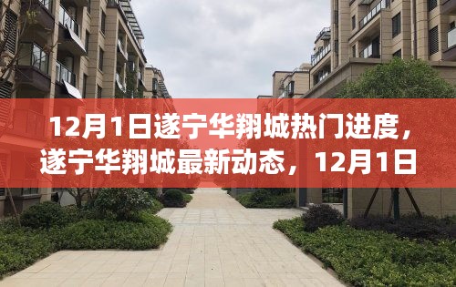遂寧華翔城12月1日最新動態及熱門進度全解析