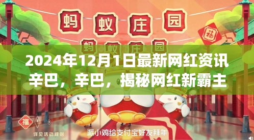 揭秘網紅霸主辛巴,小紅書最新資訊揭秘其背后的故事(2024年12月)