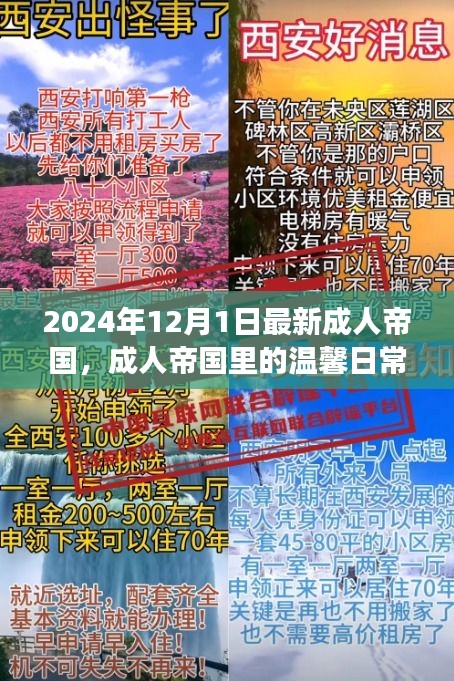 成人帝國(guó)里的溫馨日常,陽(yáng)光故事2024年12月1日