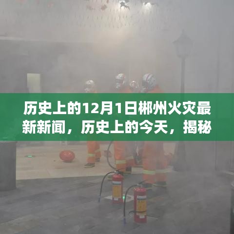 揭秘郴州火災背后的故事，歷史上的今天回顧與最新新聞報道