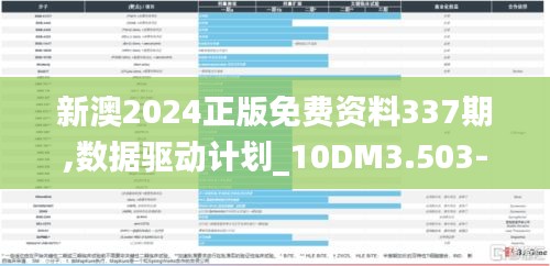 新澳2024正版免費資料337期,數據驅動計劃_10DM3.503-8