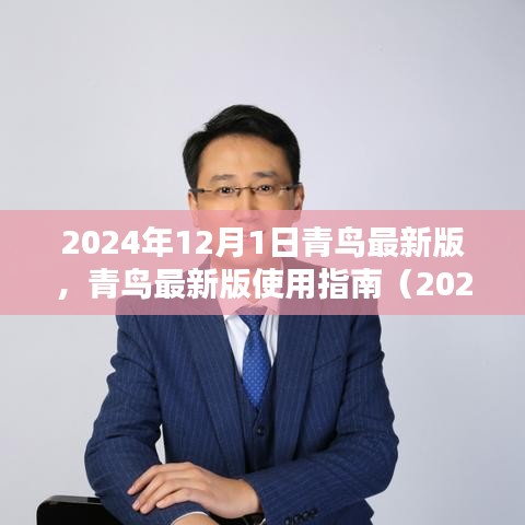 青鳥最新版使用指南(2024年12月版),初學者與進階用戶指南共鑒