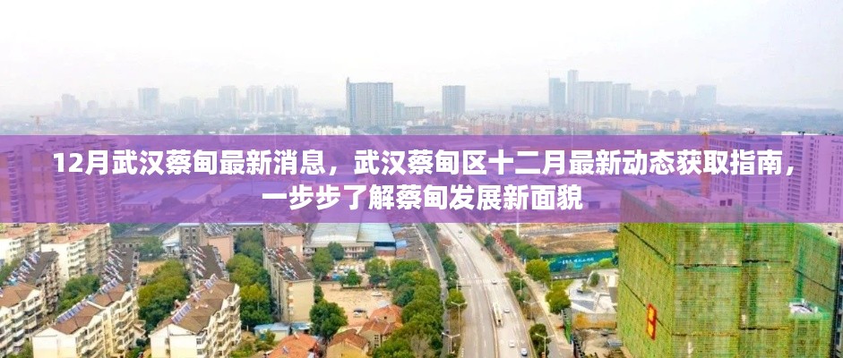 武漢蔡甸區(qū)十二月最新動態(tài)全解析，發(fā)展面貌大揭秘