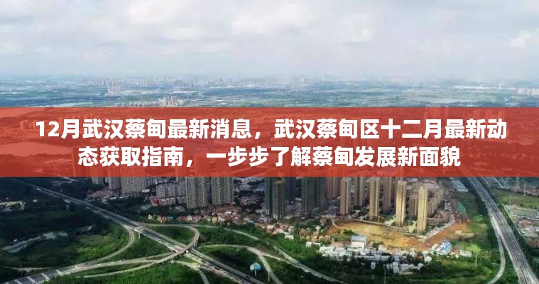 武漢蔡甸區十二月最新動態全解析,發展面貌大揭秘