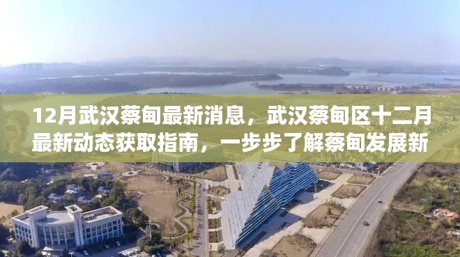 武漢蔡甸區十二月最新動態全解析,發展面貌大揭秘