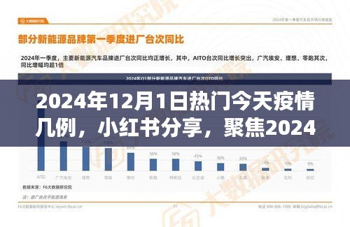 小紅書分享,聚焦2024年12月1日疫情最新動態及今日疫情數據報告