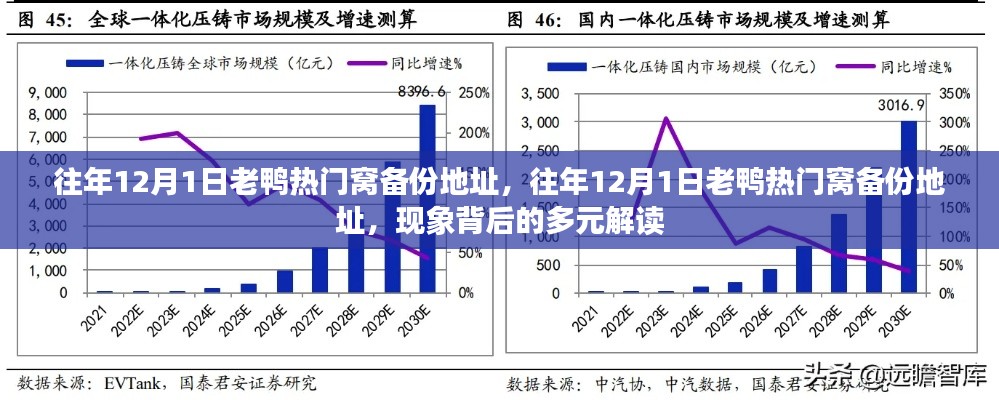 往年12月1日老鴨熱門窩備份地址現象背后的多元解讀分析