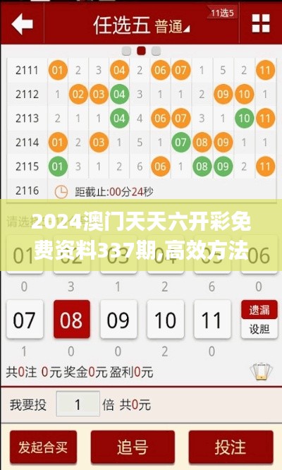 2024澳門天天六開彩免費資料337期,高效方法評估_復刻版74.255-4