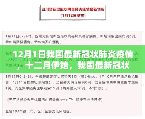 我國最新冠狀肺炎疫情深度解析,十二月伊始的疫情動態分析