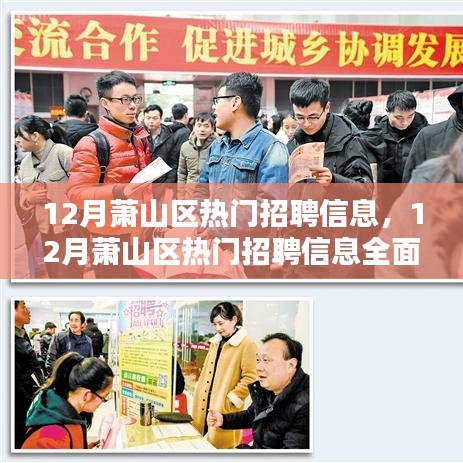 12月蕭山區熱門招聘信息全面解析與求職全攻略