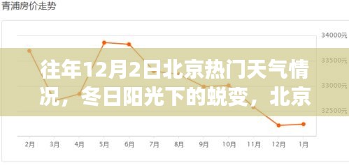 北京往年12月2日冬日陽光下的學習之旅與自信起航,天氣回顧與蛻變時刻