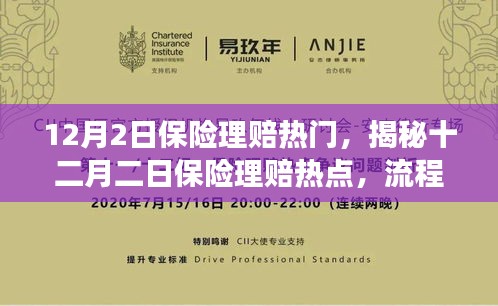 揭秘十二月二日保險(xiǎn)理賠熱點(diǎn),流程、要點(diǎn)及注意事項(xiàng)全解析