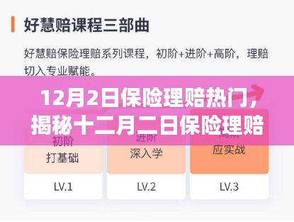 揭秘十二月二日保險理賠熱點,流程、要點及注意事項全解析