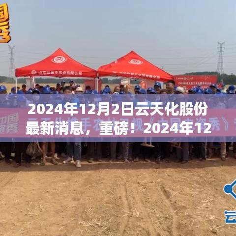 獨家揭秘,云天化股份最新動態與未來展望(2024年12月2日更新)