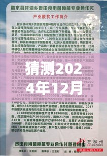 康哥新篇章,重塑自信,擁抱未來奇跡的學(xué)習(xí)之旅(2024年12月2日最新)