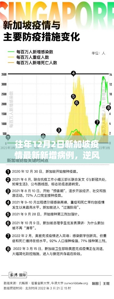 新加坡疫情下的勵志篇章,逆風砥柱,學習變化的力量與自信之路——歷年12月2日最新數據回顧