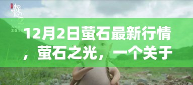 螢石最新行情揭秘,友情與陪伴的溫馨故事螢石之光