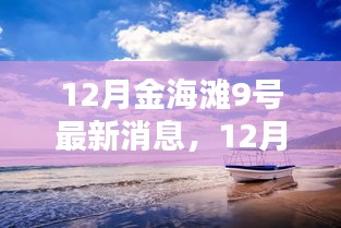 12月金海灘9號最新動態與指南，任務完成與技能學習全解析
