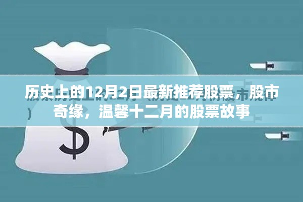 溫馨十二月,股市奇緣與最新推薦股票故事回顧