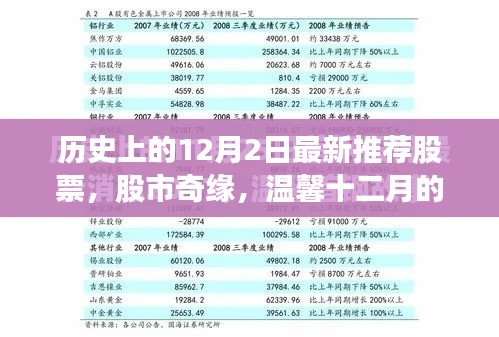 溫馨十二月,股市奇緣與最新推薦股票故事回顧