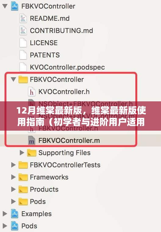 維棠最新版使用指南,從初學(xué)者到進(jìn)階用戶的全面教程(12月最新版)
