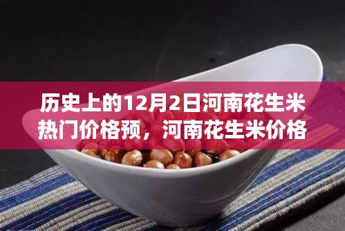 河南花生米價格背后的故事,友情與陪伴的冬日奇遇在12月2日揭曉的熱門預測