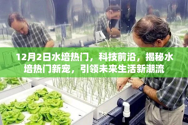 揭秘水培熱門(mén)新寵,引領(lǐng)未來(lái)生活潮流,科技前沿揭秘水培趨勢(shì)分析