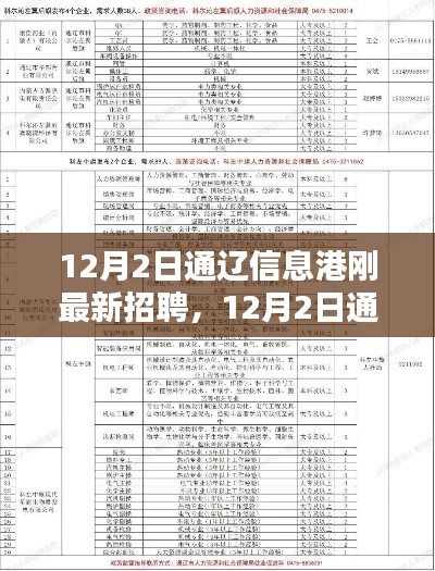 12月2日通遼信息港最新招聘動態(tài)及職業(yè)機會探索揭秘