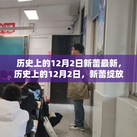 歷史上的12月2日,新蕾綻放的起點(diǎn),學(xué)習(xí)技能的新篇章