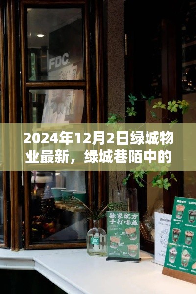 綠城物業新探秘,巷陌寶藏與小眾特色小店揭秘(2024年12月)