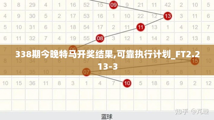 338期今晚特馬開獎結果,可靠執行計劃_FT2.213-3