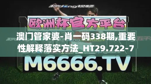 澳門管家婆-肖一碼338期,重要性解釋落實方法_HT29.722-7