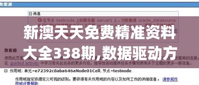 新澳天天免費精準資料大全338期,數據驅動方案實施_GT35.758-5