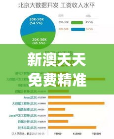 新澳天天免費精準資料大全338期,數(shù)據驅動方案實施_GT35.758-5