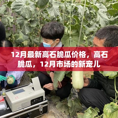 12月高石脆瓜價(jià)格與市場(chǎng)熱度揭秘,新寵兒的魅力所在
