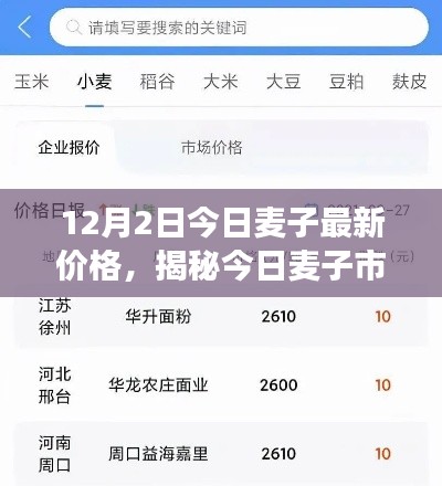 揭秘今日麥子市場,最新價格動態及市場分析(以麥子最新價格行情為例)