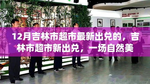 吉林市超市最新出兌,探尋自然美景,發現內心寧靜之美之旅