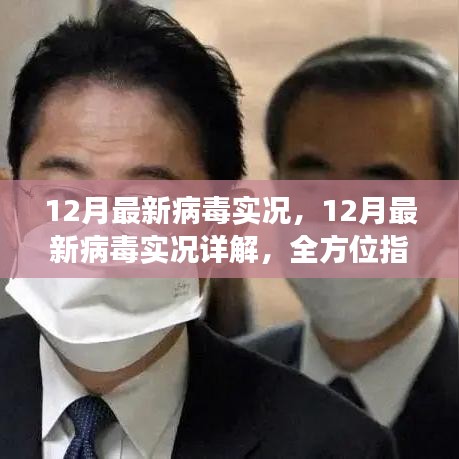 全方位指南,12月病毒威脅詳解與防范應對策略