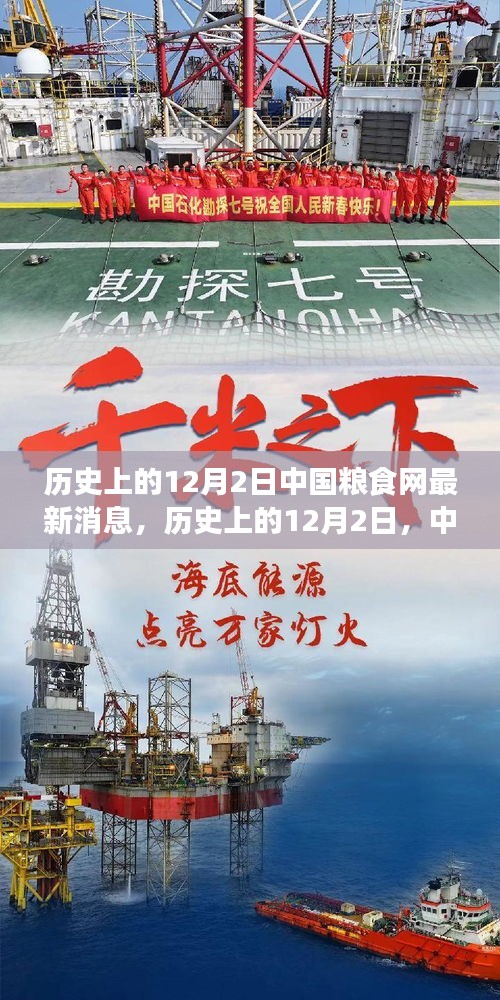 歷史上的12月2日,中國糧食網的新篇章與自信的力量種子